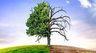 climate change progress