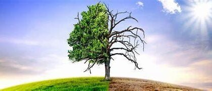 climate change progress