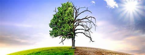 climate change progress