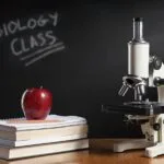 Best AI Tools for Matric Students