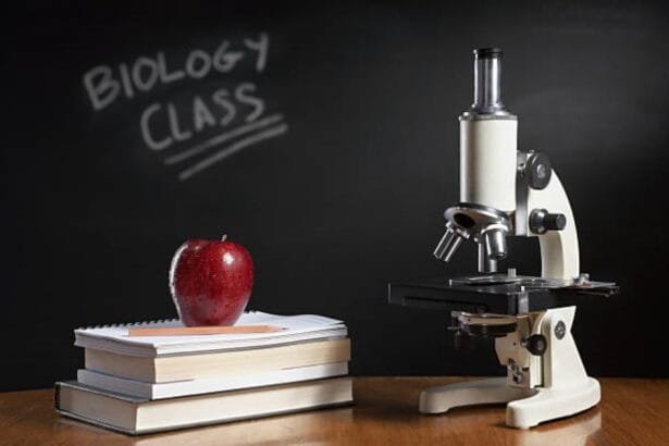 Best AI Tools for Matric Students